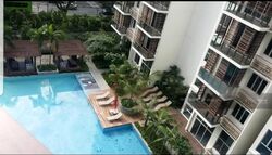 eCO (D16), Condominium #475851591